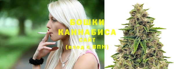 прущий лед Богданович