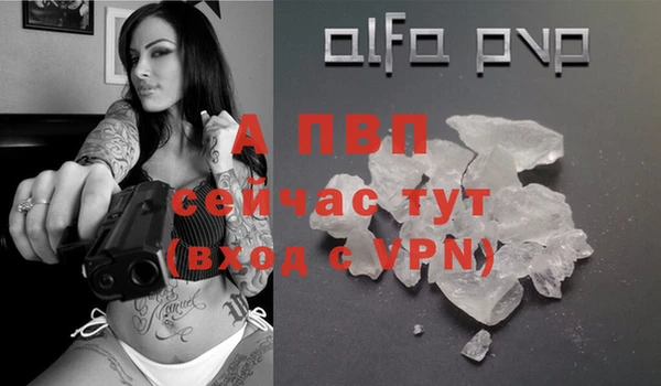 прущий лед Богданович