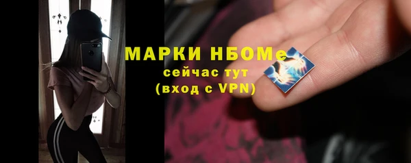 прущий лед Богданович